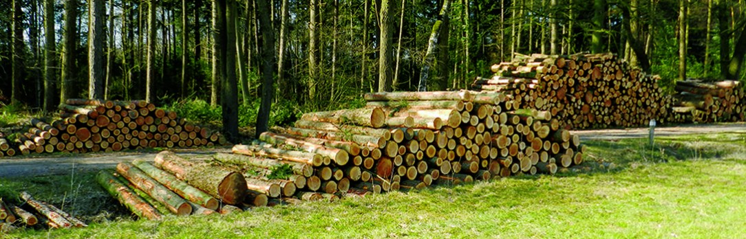 NTD-Groen-Rijssen